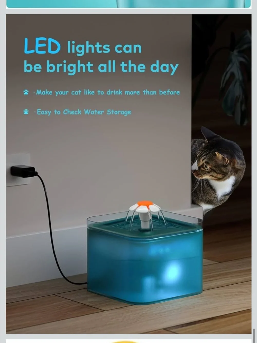 67oz Pet Water Fountain with Daisy Spout